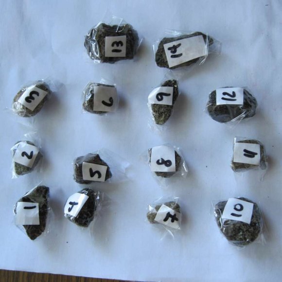 Costa Rican Hot Spring Volcanic Rocks Costa Rica Jungle Volcano Choose Variation - Picture 16 of 16